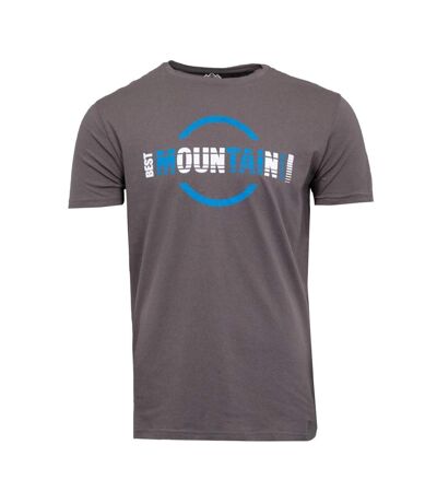 T-shirt gris/bleu homme best mountain 2010 - l