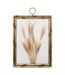 Déco Murale Bombée Blés Jonas 47cm Marron-1