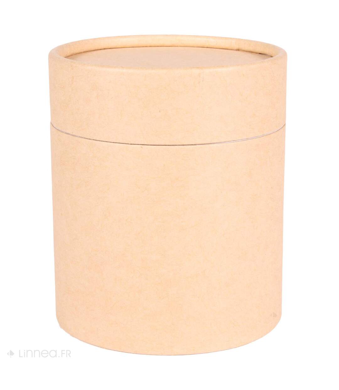 Bougie parfumée SLEEK senteur fleur de coton-2