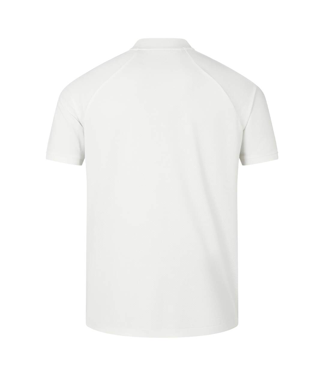 Mens 2024 British & Irish Lions Polo Shirt Egret Canterbury-3