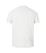Mens 2024 British & Irish Lions Polo Shirt Egret Canterbury-3