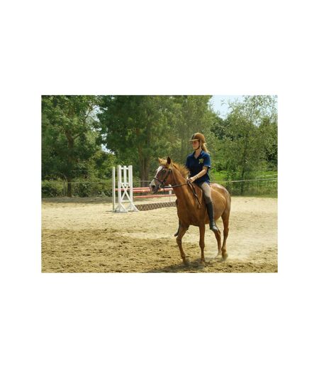 Leçon d'équitation ou agréable balade à cheval - SMARTBOX - Coffret Cadeau Sport & Aventure