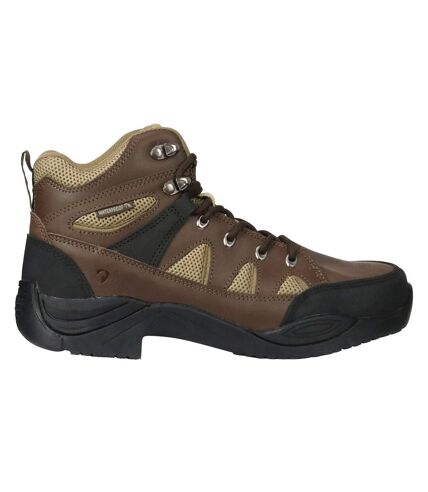 Hy Womens/Ladies Wetton Walking Boots (Brown) - UTBZ5186
