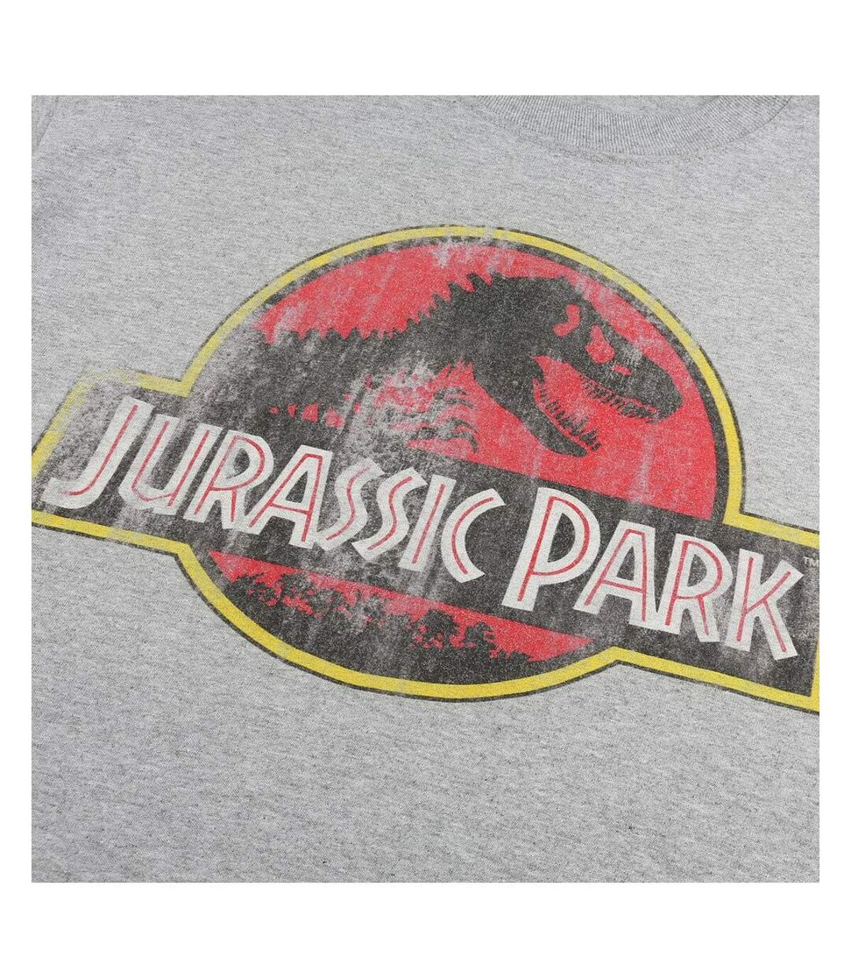 Jurassic Park T-shirt à manches longues avec logo (Gris sportif) - UTTV427