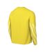 Maillot De Gardien De But Manches Longues Park Homme Jaune Nike-2