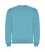 Unisex adult clasica crew neck sweatshirt turquoise Roly