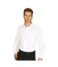 Absolute Apparel Mens Long Sleeved Classic Poplin  Shirt (White) - UTAB117-1