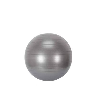 Balle de Fitness Remise en Forme 55cm Gris