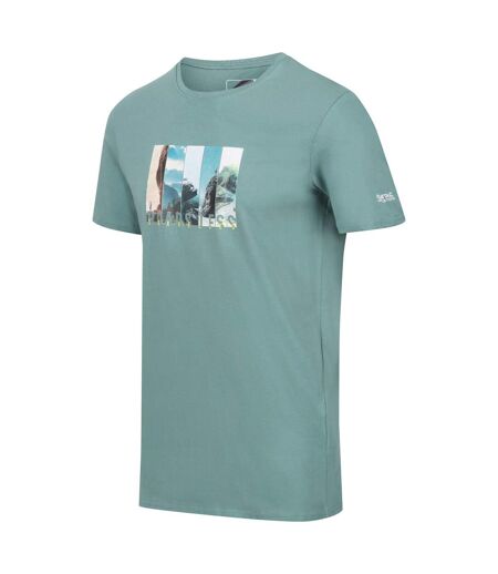 Regatta Mens Breezed III Mountain T-Shirt (Ivy Moss)
