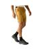 Mens Light Insect Repellent Travel Shorts Wood Brown Regatta Professional-1