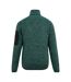 Veste Polaire Newhill Homme Bleu Clair Regatta-2