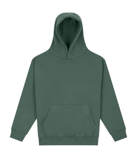 Sweat À Capuche Vision Adulte Vert Kaki Foncé Awdis