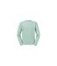 Mens Authentic Sweatshirt Slimmer Cut Eucalyptus Russell-4