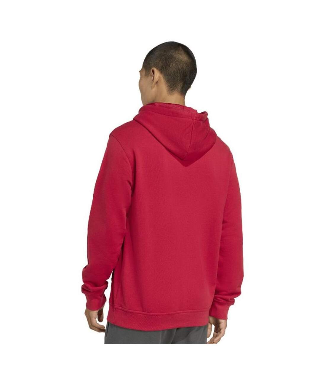 Sweat À Capuche Motif/style Liverpool Fc Homme Rouge Adidas-2