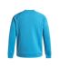 Sweat Homme Bleu Under Armour-3