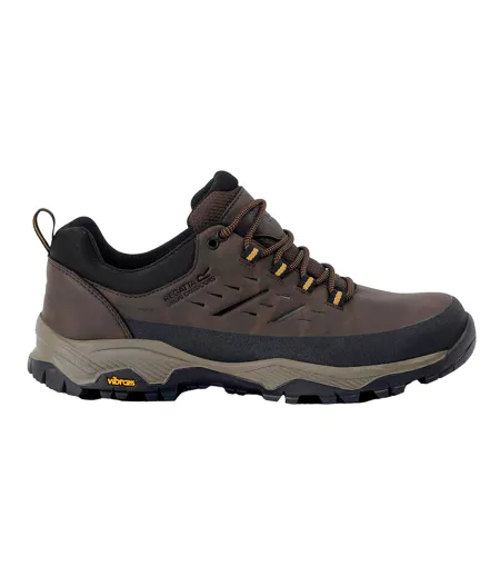 Chaussures De Marche Blake Homme Marron Foncé Bois Regatta