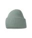 Bonnet Classic Adulte Vieux Vert Beechfield-2