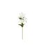 Tige Artificielle 4 Lys Jago 80cm Blanc-1