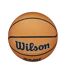 Wilson - Ballon de basket GAMEBREAKER (Marron) (Taille 5) - UTRD2848