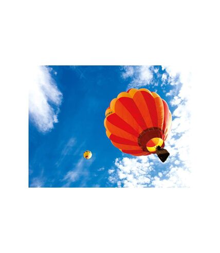 Vol en montgolfière en semaine au-dessus des vignobles français - SMARTBOX - Coffret Cadeau Sport & Aventure