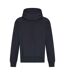 Sweat À Capuche Signature Adulte Nouveau Bleu Marine Awdis-2