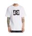 T-Shirt blanc homme dc shoes star-1