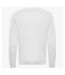 Awdis Mens Organic Sweatshirt (Arctic White) - UTPC4333