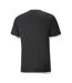Maillot D´arbitre Foot Teamliga Homme Noir Puma-2