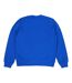 Sweat Homme Bleu Champion-2