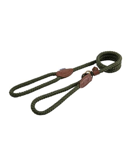 Heritage collection slip lead and halter 150cm x 1.2cm green Ancol
