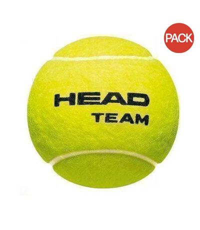 Pack of 12  Team tennis balls  one size green Head