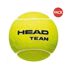 Pack of 12  Team tennis balls  one size green Head