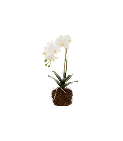 Fleur Artificielle Déco Orchidée en Terre 40cm Blanc