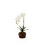 Fleur Artificielle Déco Orchidée en Terre 40cm Blanc