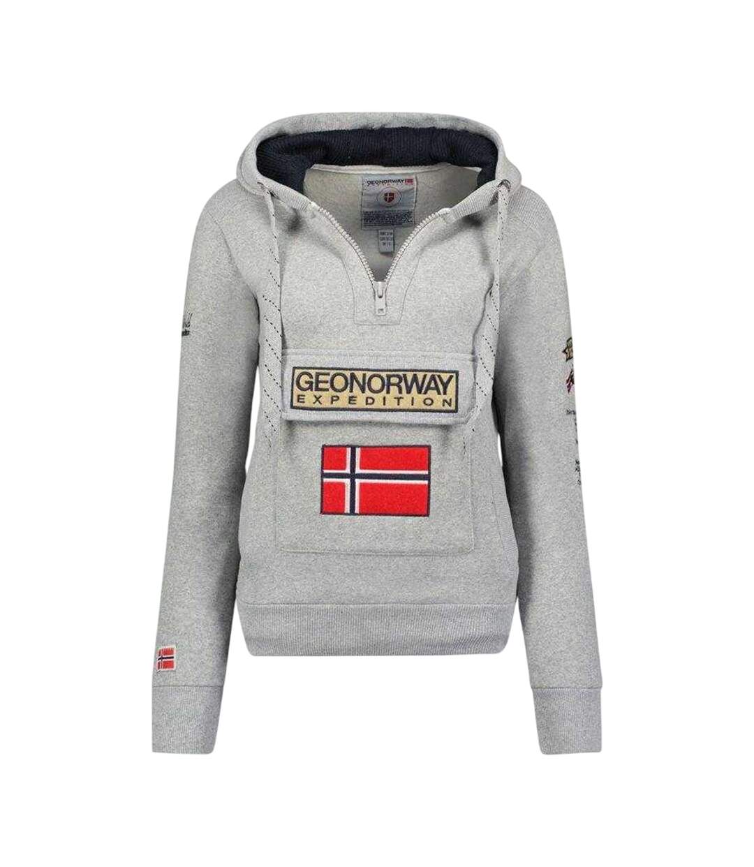 Sweat À Capuche Gymclass Distri Homme Gris Geographical Norway-1