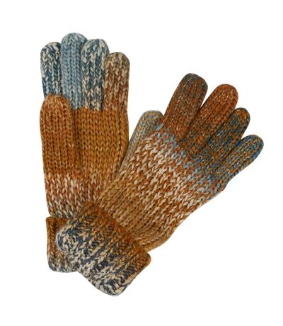 Regatta Womens/Ladies Frosty VI Winter Gloves (Light Vanilla) (L, XL)
