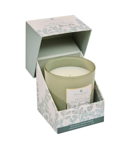 Bougie Parfumée Mael 190g Feuille d'Eucalyptus