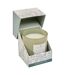 Bougie Parfumée Mael 190g Feuille d'Eucalyptus-2