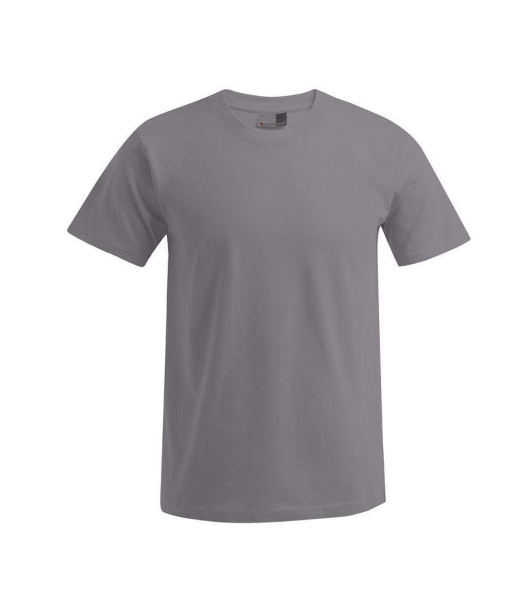 T-shirt Premium Homme Nouveau Gris Clair Uni Promodoro-1