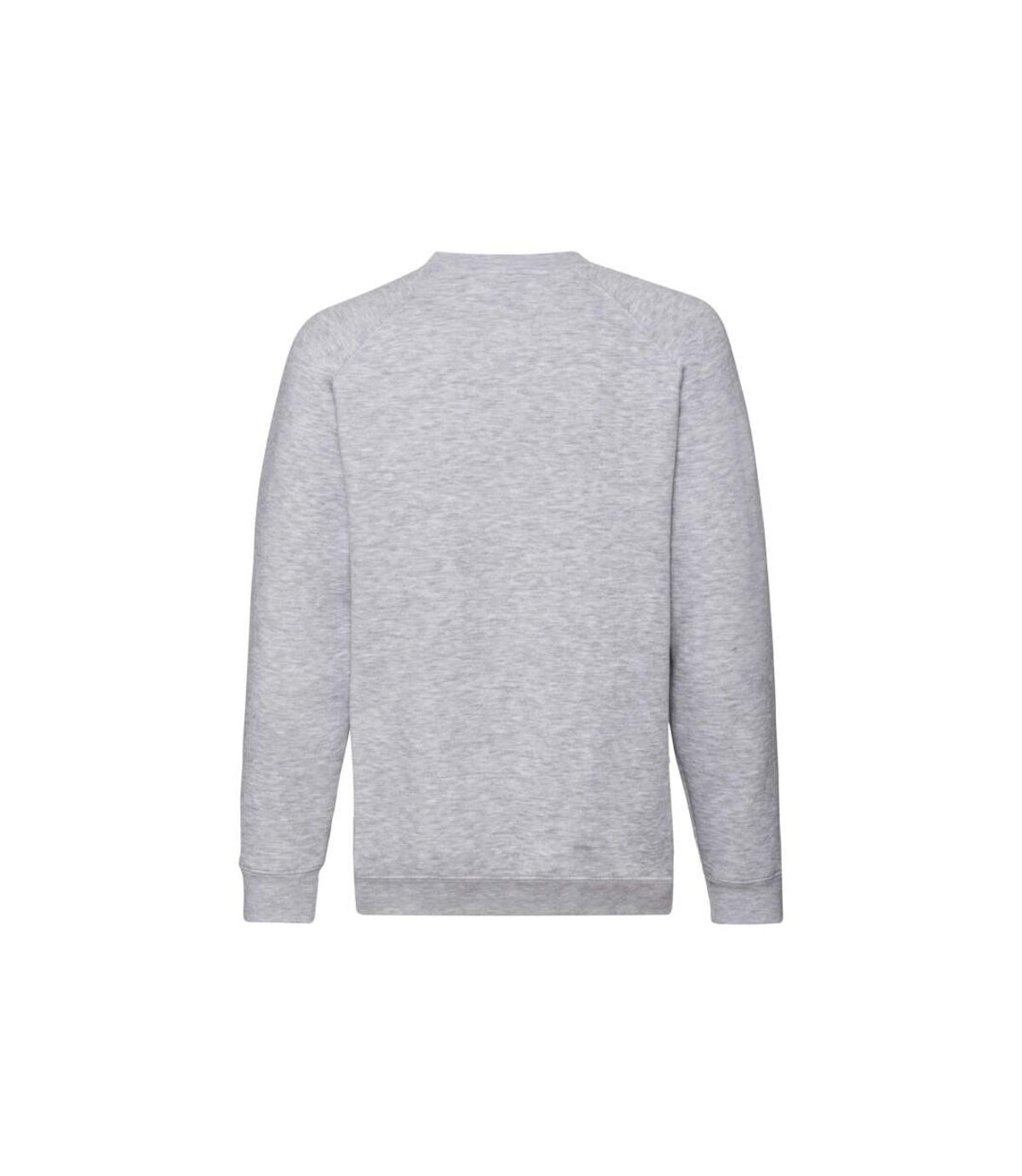 Fruit of the Loom - Sweat VINTAGE SMALL LOGO - Homme (Gris) - UTPC4408