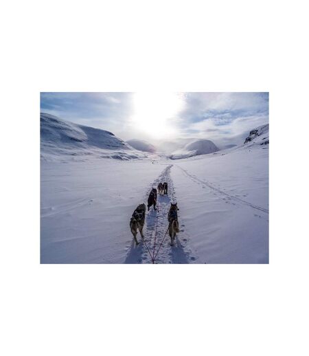 Séjour en Suède : 4 jours avec aurores boréales et balade en chiens de traîneau pour 2 - SMARTBOX - Coffret Cadeau Séjour