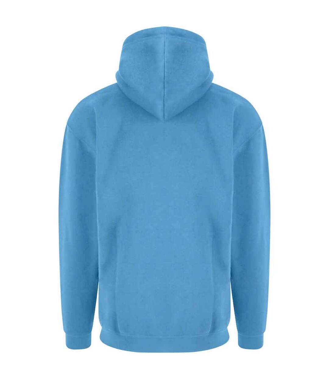 Mens hoodie sky blue PRORTX-2