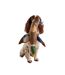 Duck plush dog toy one size blue Joules-3