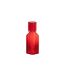 Carafe en Verre Fiole 27cm Rouge-2