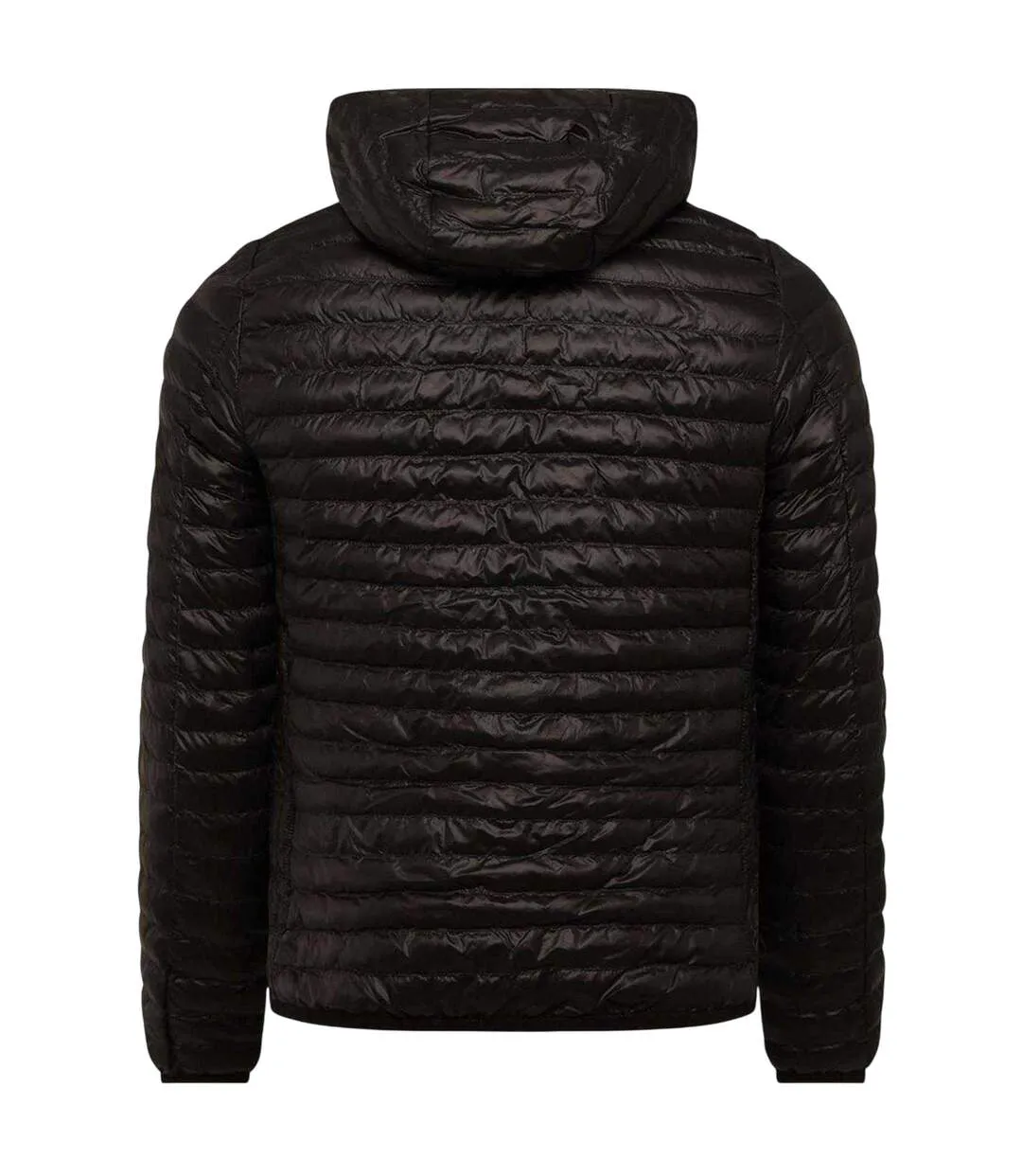 Womens/ladies Polyester Regular Padded Jacket Black Replay-2