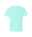 Anvil - T-shirt - Homme (Turquoise pâle) - UTBC3953