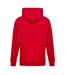 Mens Logo Cotton Hoodie Red Replay-3