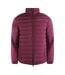 Veste Active Hunter Homme Bordeaux Aquascutum-1