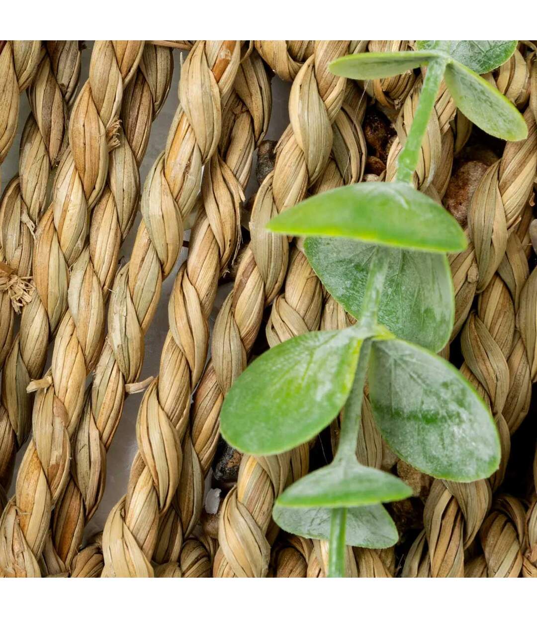 Eucalyptus Artificiel à Suspendre Zéa 70cm Naturel-2