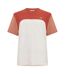 T-shirt Motif/style Blocs De Couleurs Homme Blanc Marron Marron Clair Lacoste-1